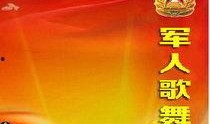 军人视频爆料网站大全,网络时代的军情观察窗口