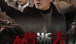 江都谍影在线观看,揭秘隐秘战线上的生死较量