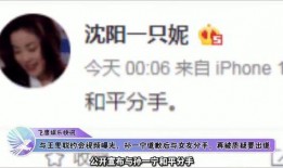 王思聪爆料视频链接,揭秘娱乐圈幕后真相