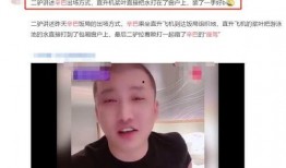 知名网红爆料辛巴视频,网红爆料背后的惊人真相