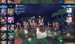 瑶妹两款皮肤爆料视频,两款爆料视频带你领略独特魅力