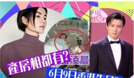 粉红理论导演爆料视频,视频背后不为人知的幕后故事