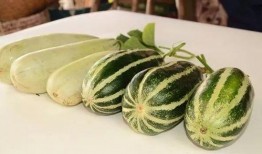 网红大瓜免费吃,免费畅享独家爆料！