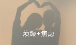 张聪邻居爆料视频