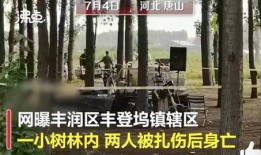 唐山爆料案最新进展,案情细节披露，嫌疑人身份曝光