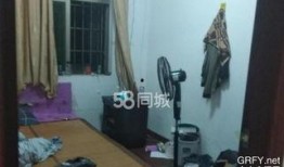 沙井租房爆料事件视频播放,揭露租房乱象背后的真相
