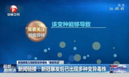 新冠病毒 新闻爆料,疫情动态与防控措施再升级