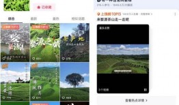 最新茶叶爆料视频播放,最新爆料视频带你领略茶界新风尚