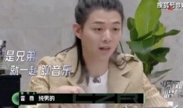歌手平安最新爆料是谁啊,揭秘神秘人物身份引粉丝热议