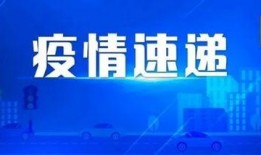 近日媒体爆料新闻视频大全,视频大全揭示社会热点事件