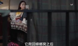 状元姐姐爆料视频在线观看,揭秘幕后真相，带你走进真实世界