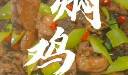 黄焖鸡爆料直播视频大全