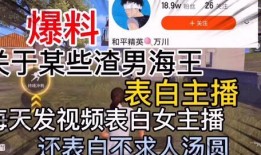 江门渣男爆料视频播放大全,揭秘情感漩涡中的真实面目