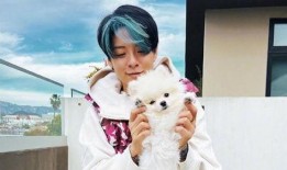 浪哥爆料浪姐视频大全集,浪哥独家爆料，精彩瞬间一网打尽