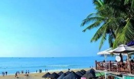 三亚最新旅游网红爆料