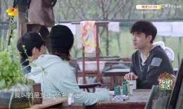 黄磊杨紫最新爆料,揭秘娱乐圈幕后真相