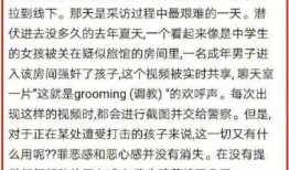 邯郸弘文爆料事件始末视频,真相与争议的交织