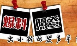 今日大新闻爆料模板,揭秘行业惊天秘密！