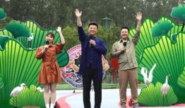 乐华艺人爆料最新消息视频,最新动态揭秘