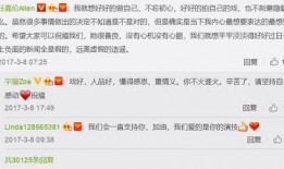 娱乐圈爆料聂欢,真相与谣言的交织