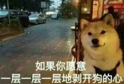 大爆料真实故事视频大全,真实故事视频大全背后的震撼瞬间