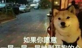 大爆料真实故事视频大全,真实故事视频大全背后的震撼瞬间