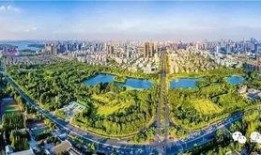 合肥高新区最新爆料,科技新城崛起，创新引擎全速运转