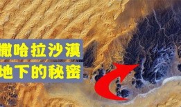 撒哈拉在线观看完整版,穿越沙漠的传奇之旅