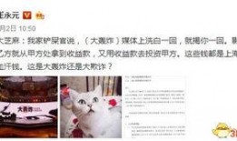 崔永元爆料大轰炸视频,视频曝光惊人真相