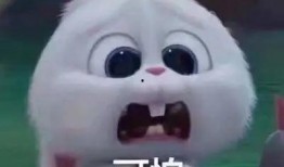 吃瓜爆料深圳事件真相视频,吃瓜爆料视频背后的真相全解析