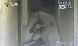 马闹鸡邻居爆料视频大全,揭秘邻里生活百态