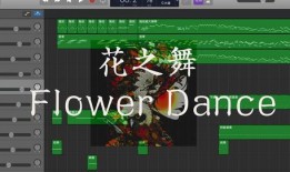 钢琴演奏爆料视频教学,跟随爆料视频学大师级演奏