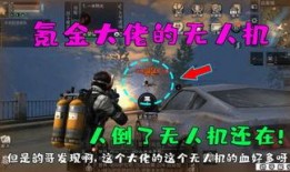 萧大侠爆料锤哥视频大全,锤哥视频大全精彩瞬间大放送