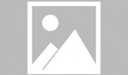 沈阳新闻爆料电话,揭露城市脉搏，倾听民意心声