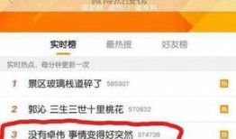卓伟爆料小明视频,小明视频引发热议
