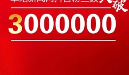 阜阳新闻网怎么爆料的,揭秘事件背后真相