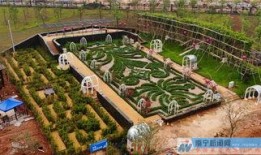 南宁园博园爆料视频曝光,揭秘园博园背后的秘密与美景