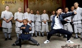网友爆料少林寺视频,网友爆料视频揭秘千年古刹风采
