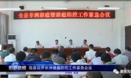 阳新新闻爆料台