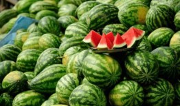 网红吃瓜的,揭秘娱乐圈幕后真相