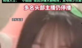 知情人爆料小团团视频,知情人爆料背后的故事