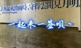 中山东凤新闻爆料,聚焦民生热点，揭秘社区发展新动态