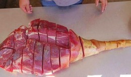 火腿火腿观看在线观看,美味佳肴的在线盛宴