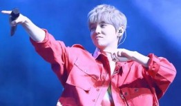 直播爆料鹿晗事件视频,揭秘背后真相与争议