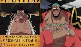 黑胡子模型爆料视频下载,揭秘神秘海盗王的全新造型与故事背景