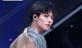 娱乐爆料林彦俊,揭秘明星背后的故事