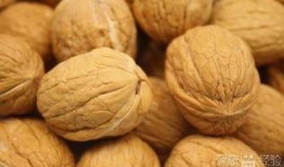 核桃印象爆料视频大全,揭秘幕后故事与精彩瞬间