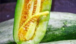 网红吃瓜的,揭秘娱乐圈幕后真相