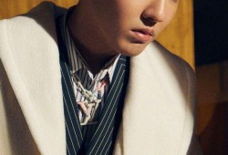 娱乐圈爆料聂欢,真相与谣言的交织