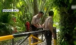 情侣巴厘岛爆料视频,浪漫瞬间尽收眼底